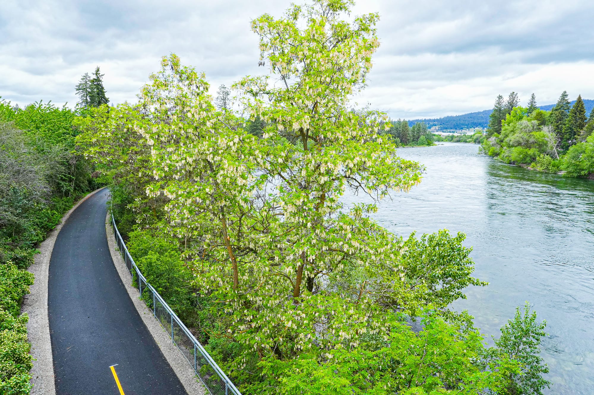 spokane river