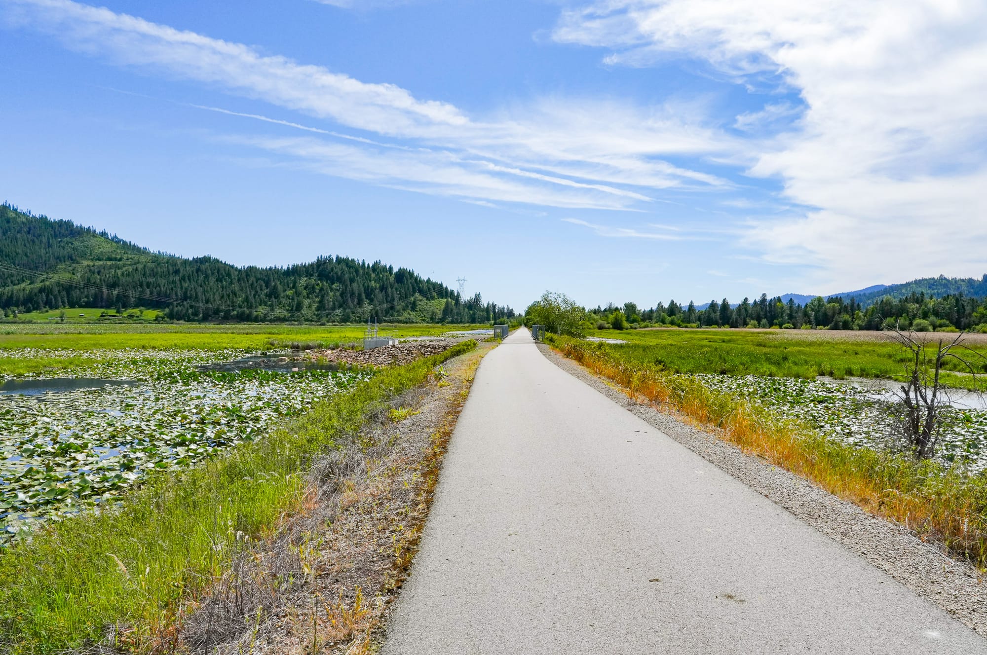 Trail of the Coeur d'Alenes