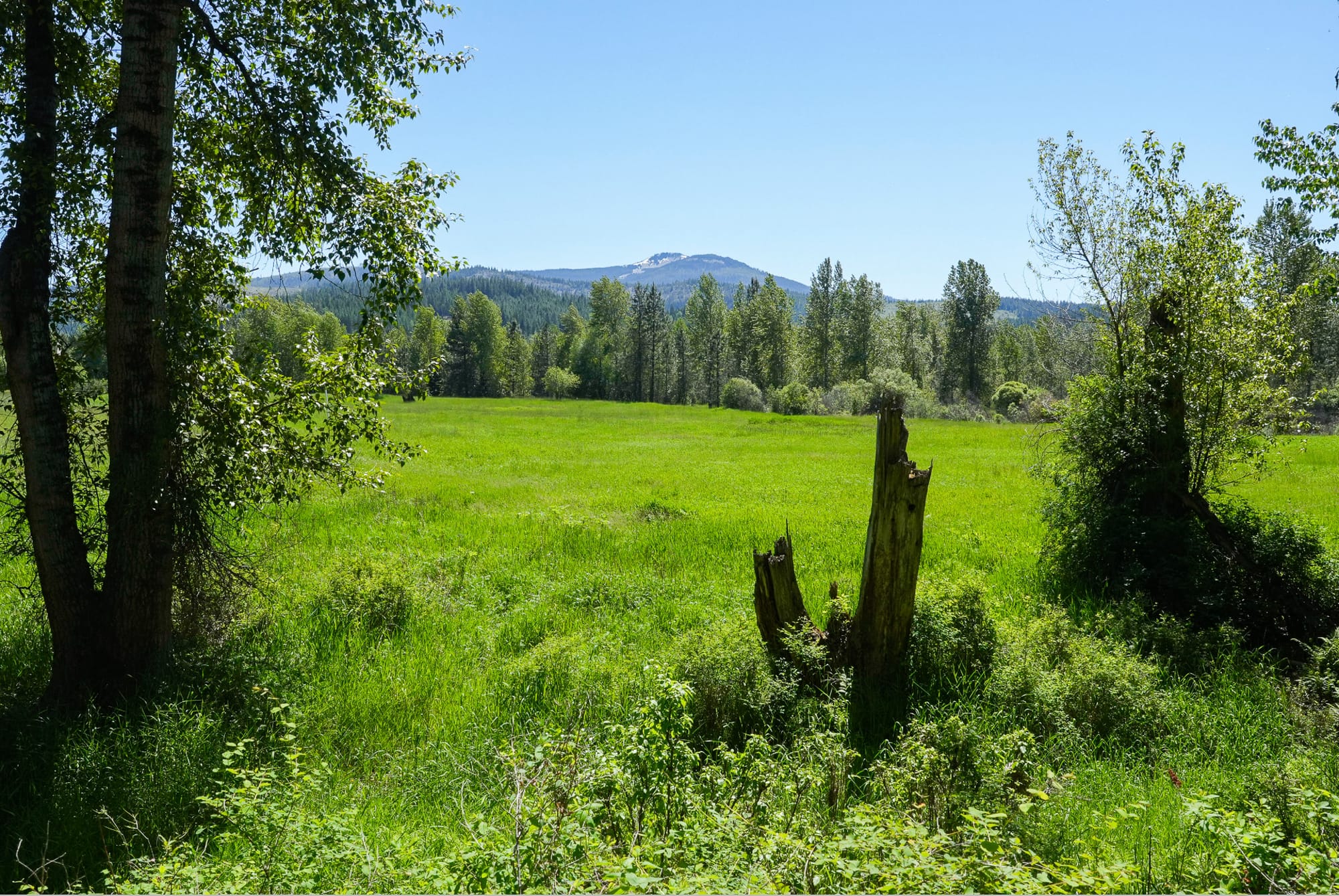 Trail of the Coeur d'Alenes