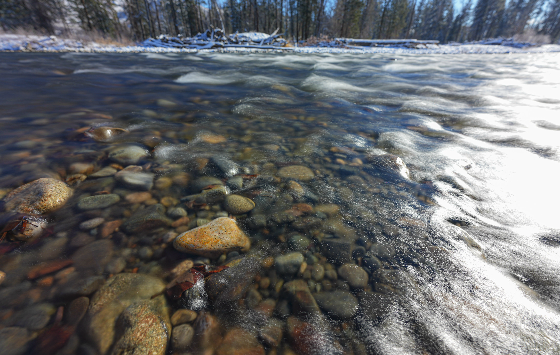 light reflecting on river