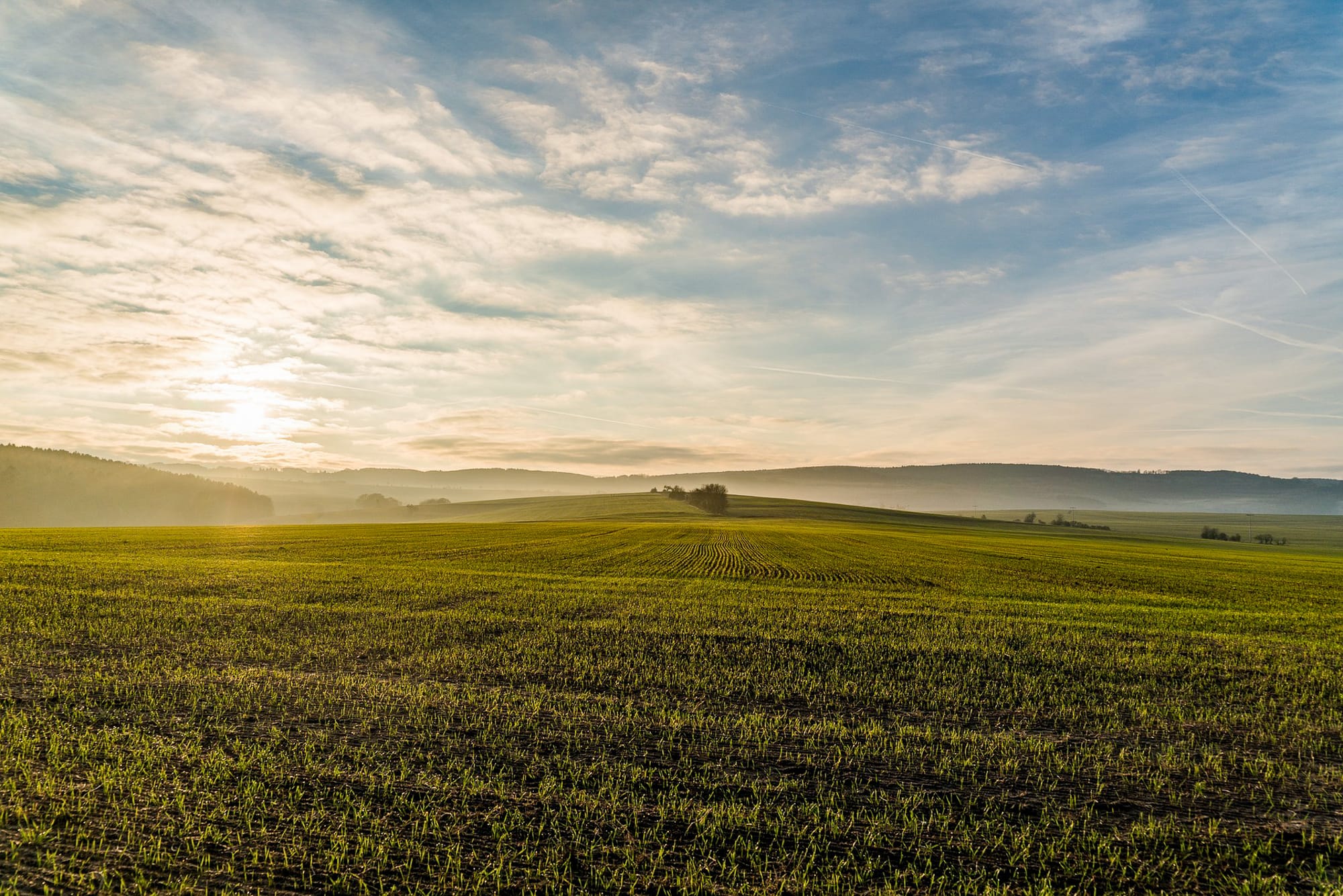 haze over a field