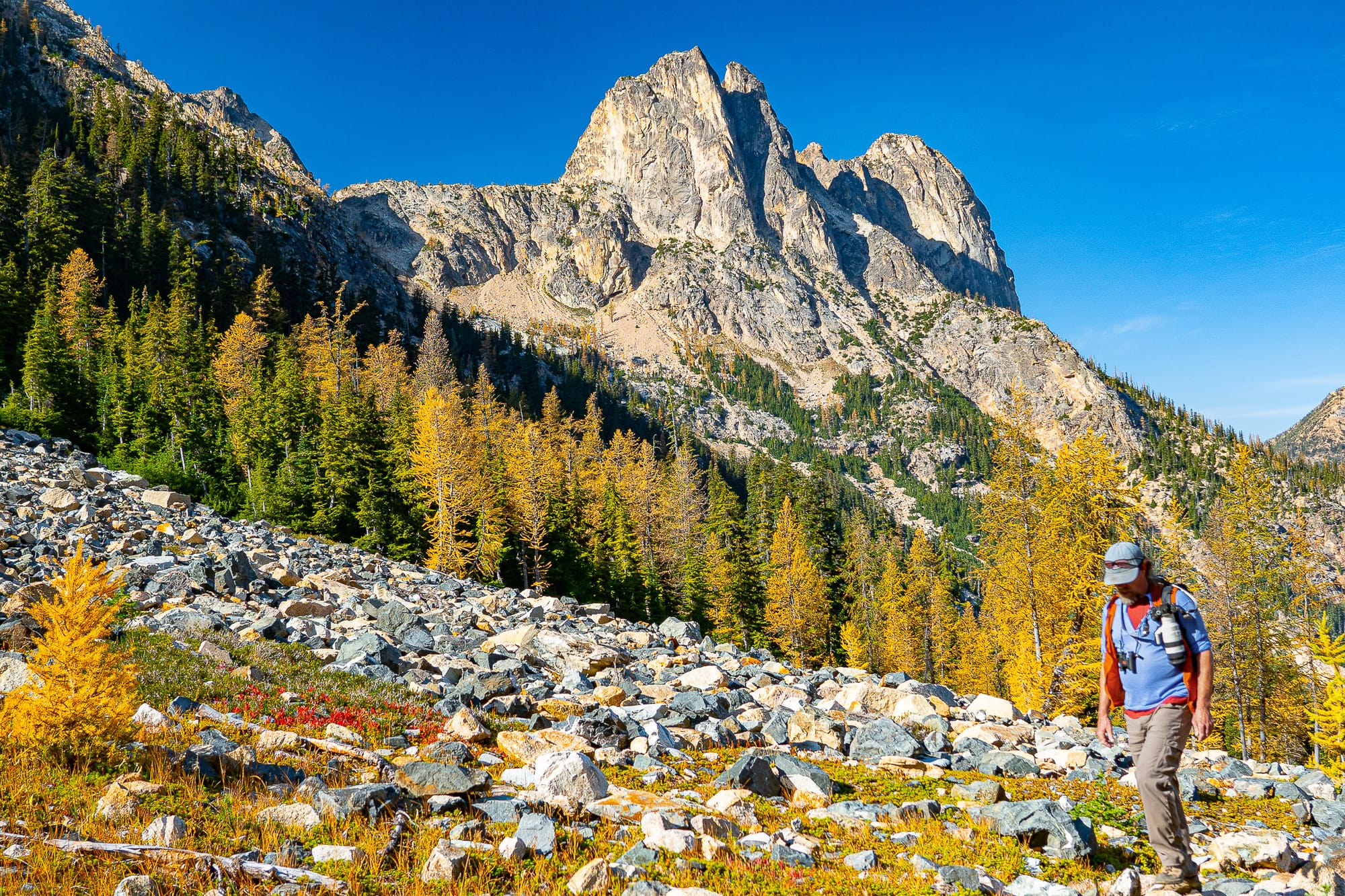 hiking among larches