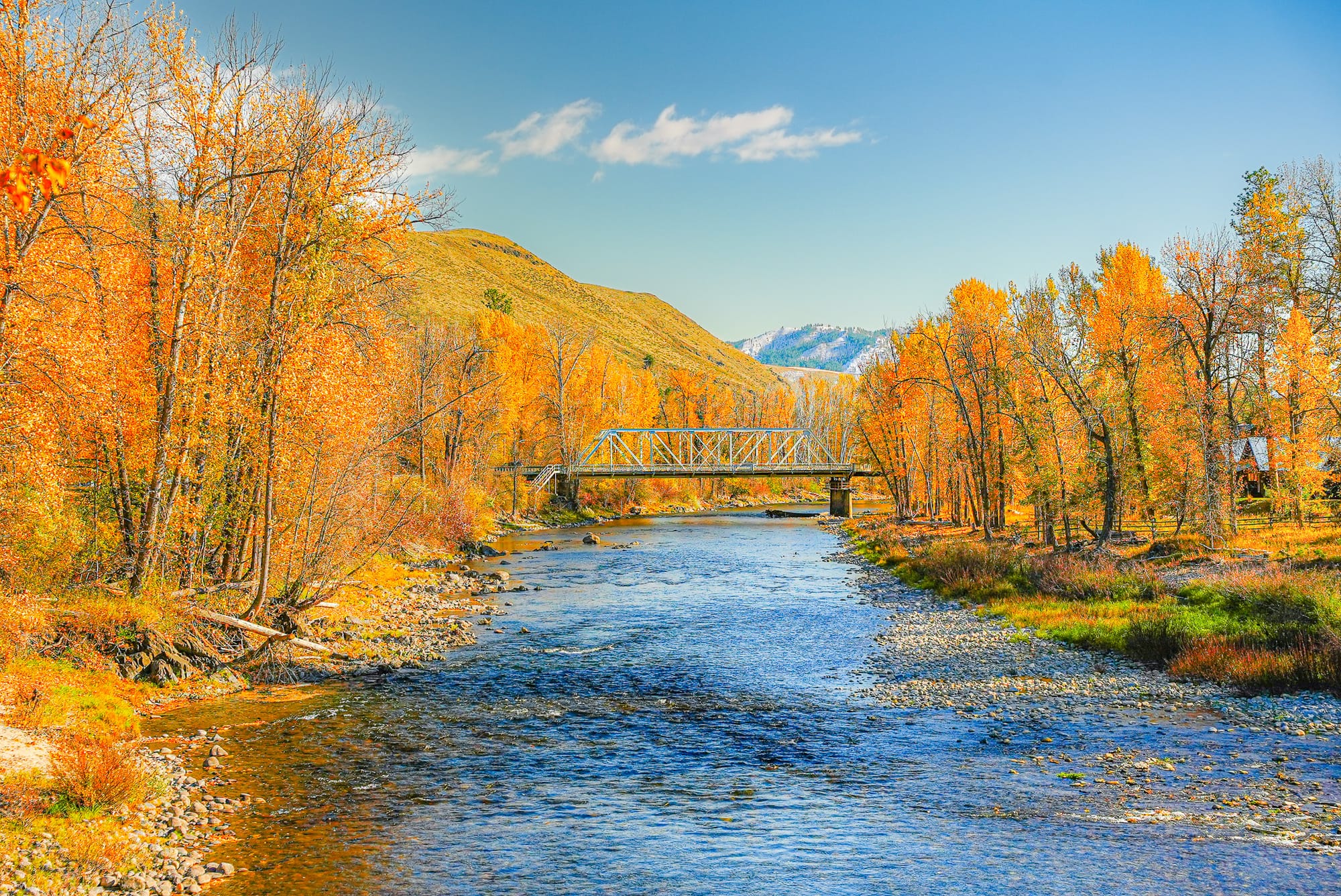 fall colors