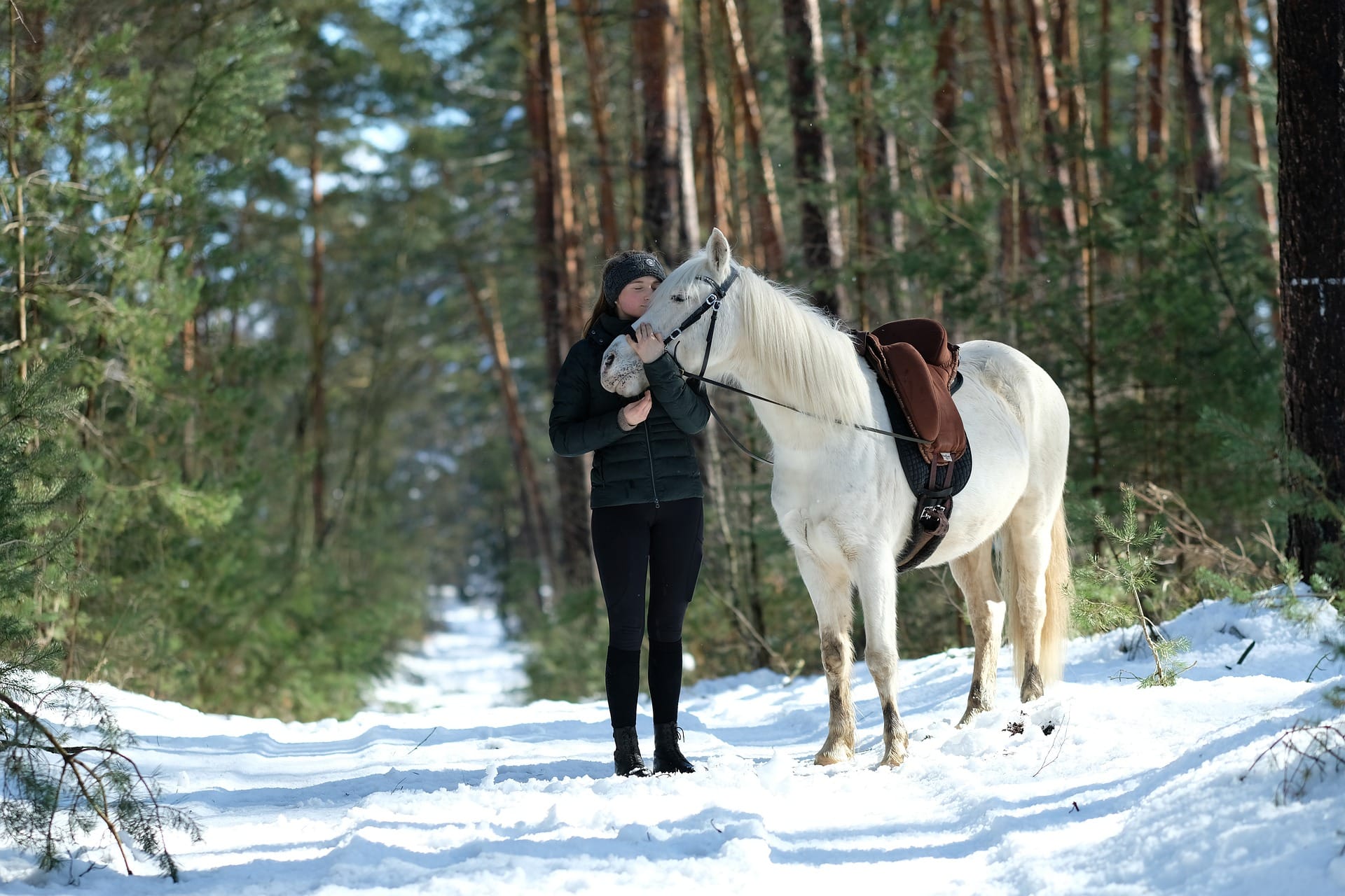 woman and horse