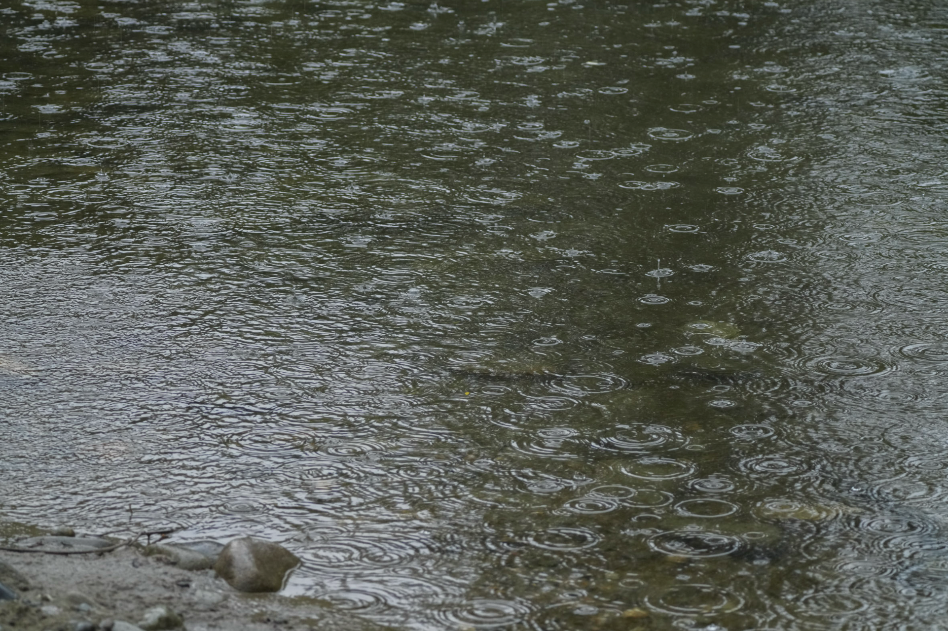 rain drops on water