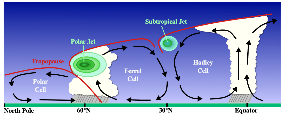 Hadley cell