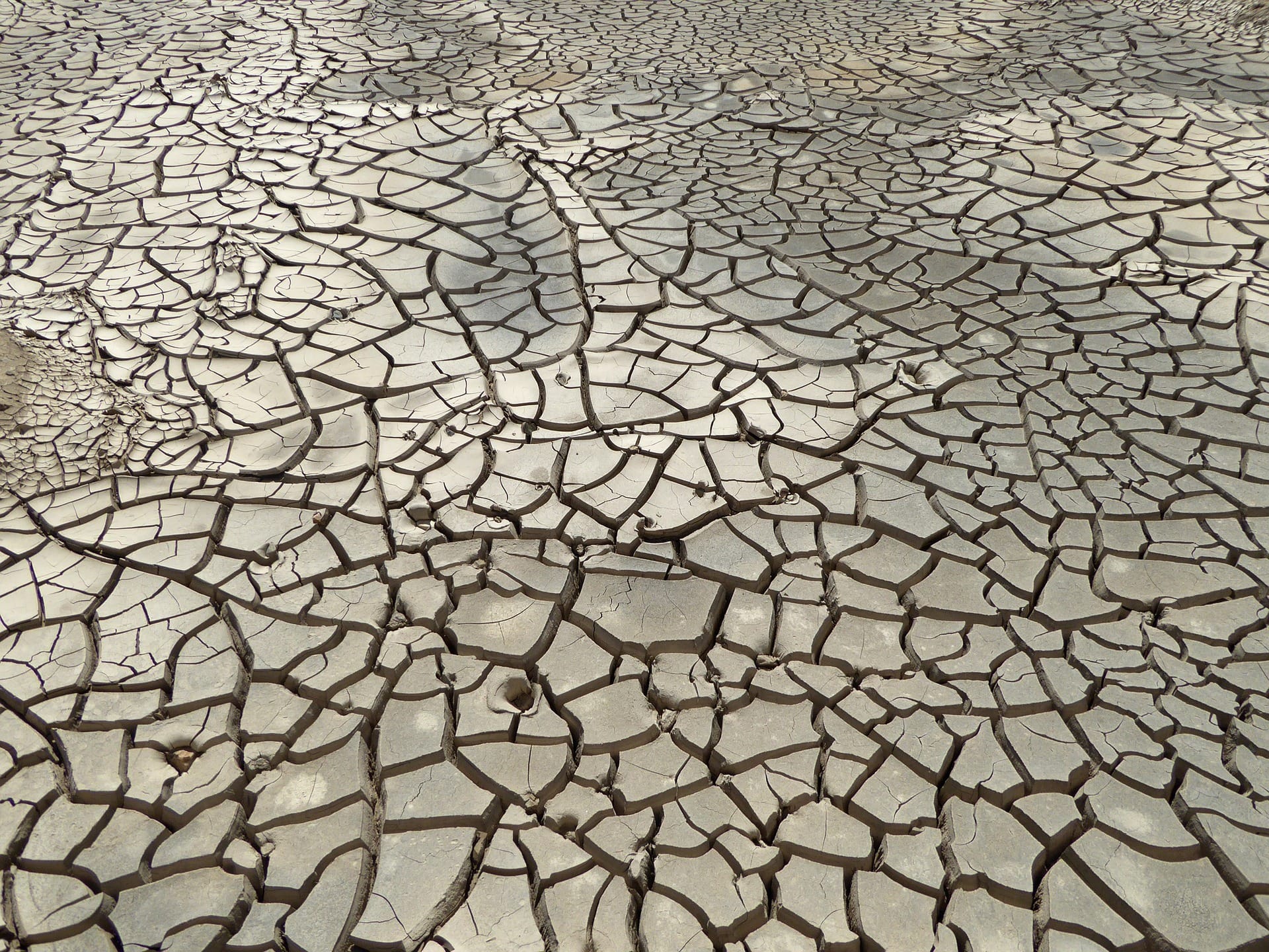 dry, cracked mud