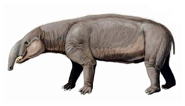 extinct South American animal