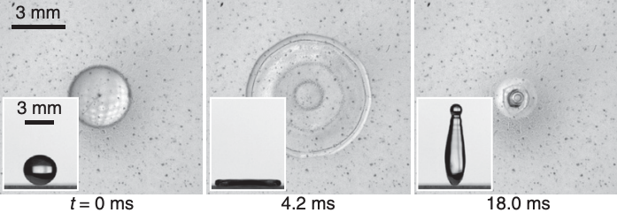 water droplet on superhydrophobic glass