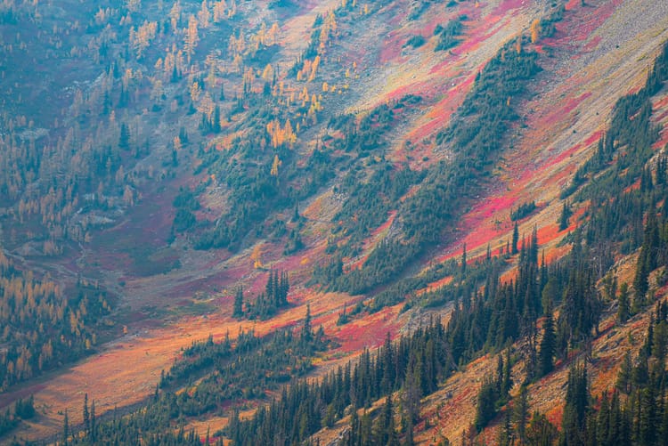 fall colors